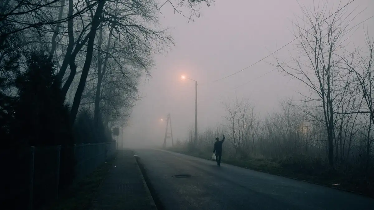 Man walks through dense fog on a deserted road flanked by bare trees, evoking solitude.