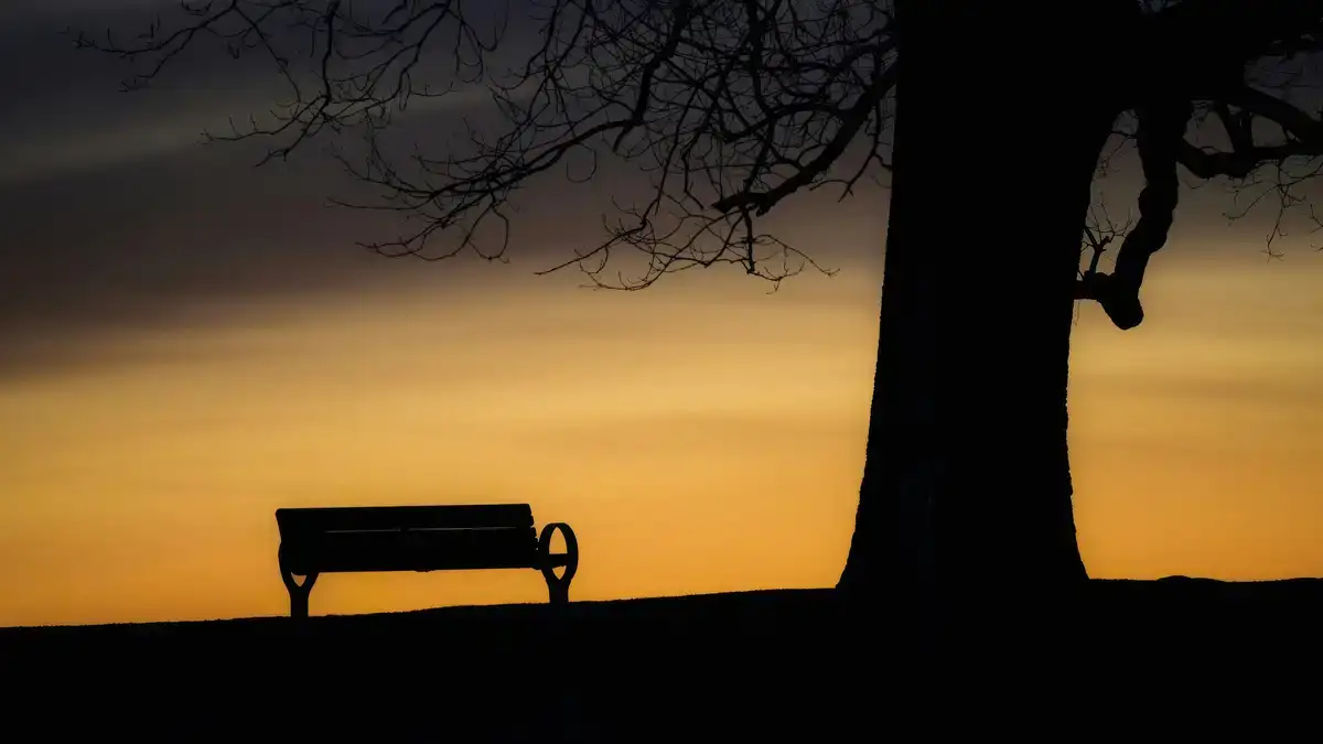 Serene dusk sky glowing orange, silhouetting an empty bench and tree casting long shadows across quiet ground.